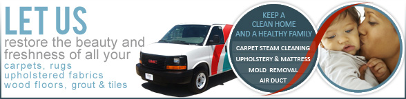 New York Carpet Cleaning - Site Map